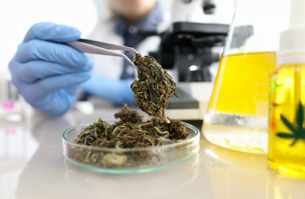 Cannabinoid hyperemesis syndrome